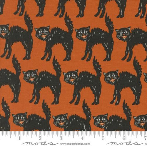 Home Sweet Haunt by Stacy Iest Hsu - Little Black Cat: Rust