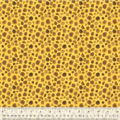 King of the Jungle | First Spots - Golden