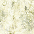 Stone Strata - Fossil - Spirals-Neutral Alabaster