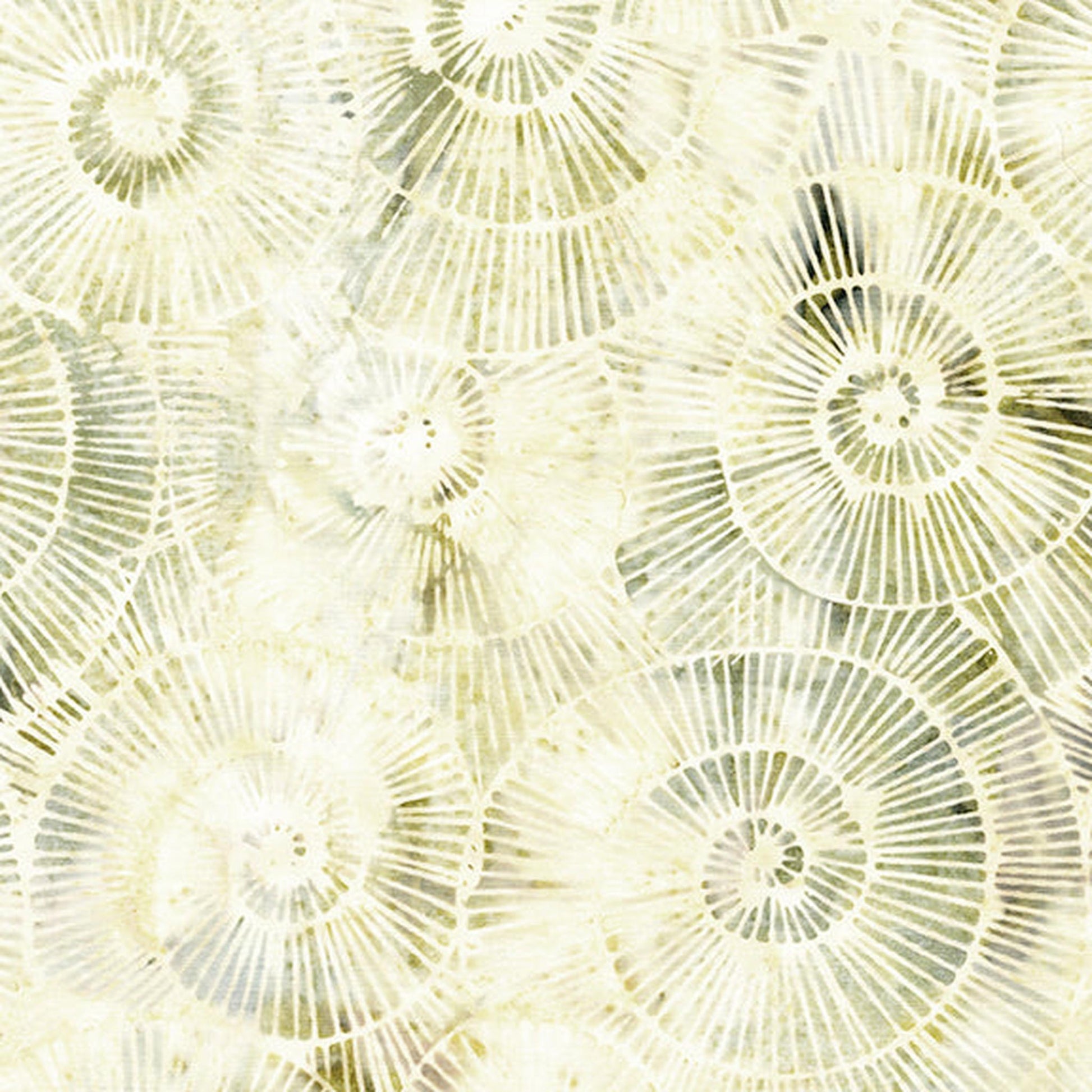 Stone Strata - Fossil - Spirals-Neutral Alabaster
