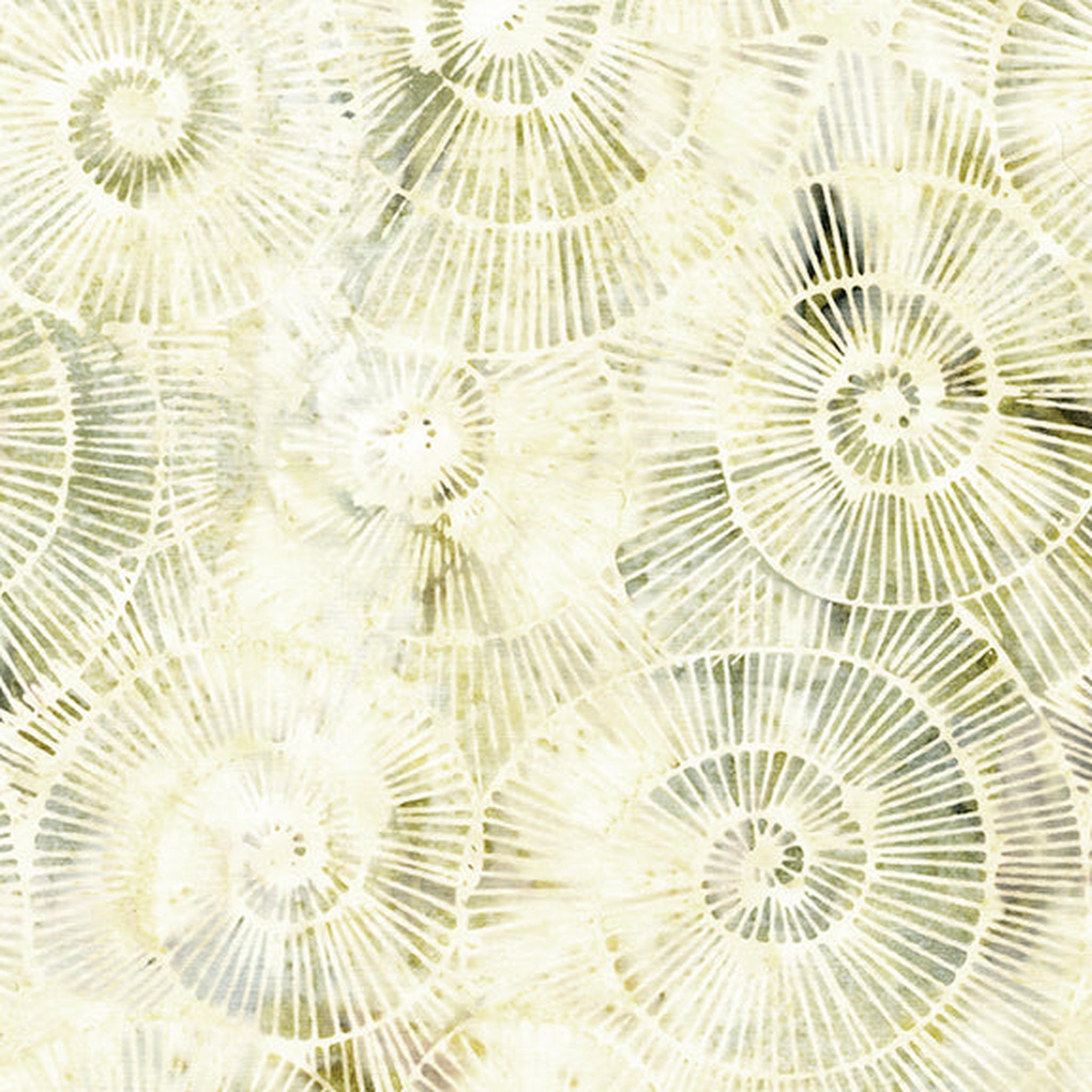 Stone Strata - Fossil - Spirals-Neutral Alabaster