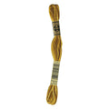 DMC Six-Strand Embroidery Floss - 111 Variegated Mustard