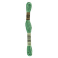 DMC Six-Strand Embroidery Floss - 125 Variegated Seafoam Green