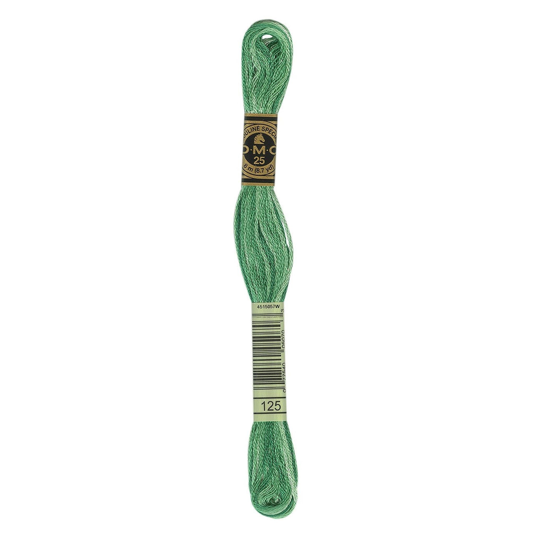 DMC Six-Strand Embroidery Floss - 125 Variegated Seafoam Green