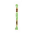 DMC Six-Strand Embroidery Floss - 13 Medium Light Nile Green