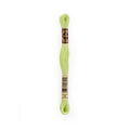 DMC Six-Strand Embroidery Floss - 14 Pale Apple Green