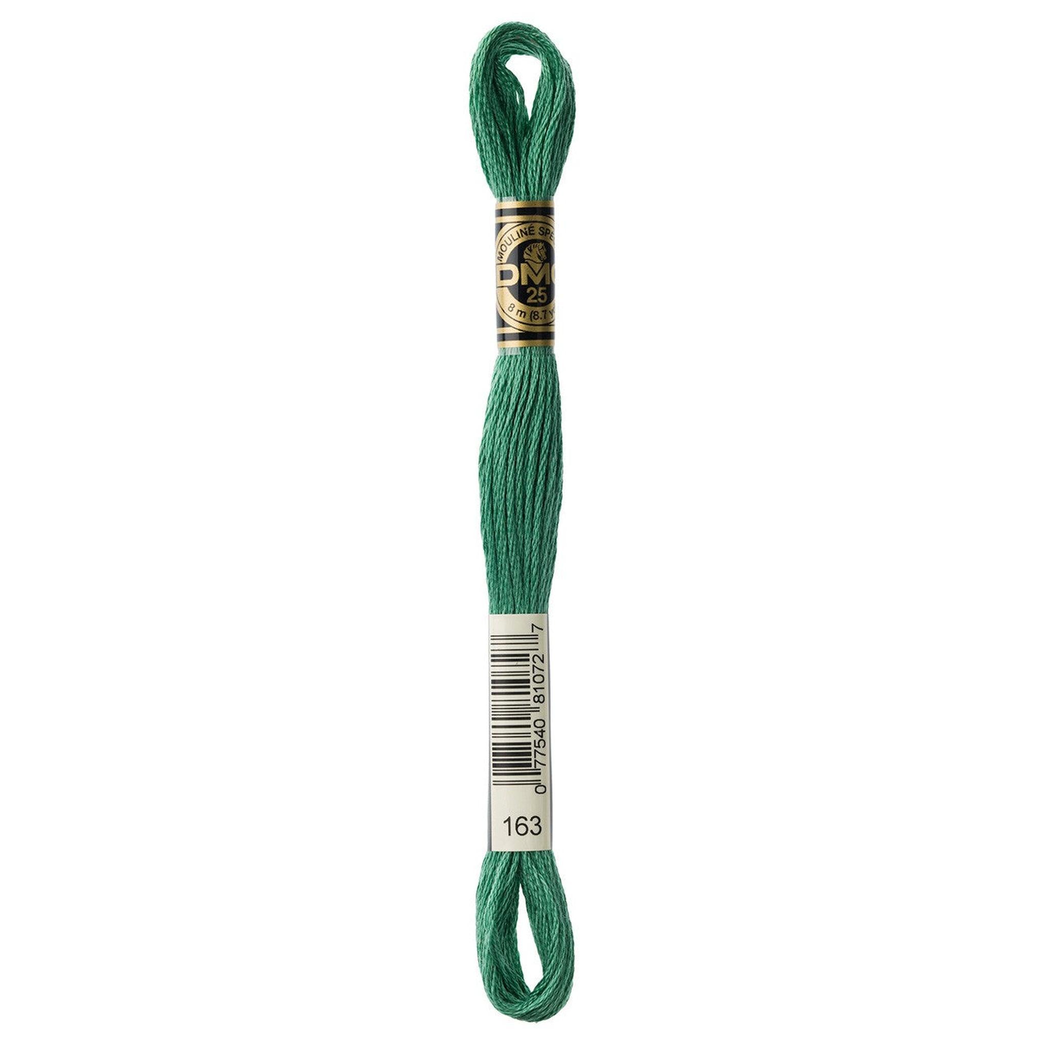 DMC Six-Strand Embroidery Floss - 163 Medium Celedon Green