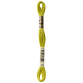 DMC Six-Strand Embroidery Floss - 166 Medium Light Moss Green