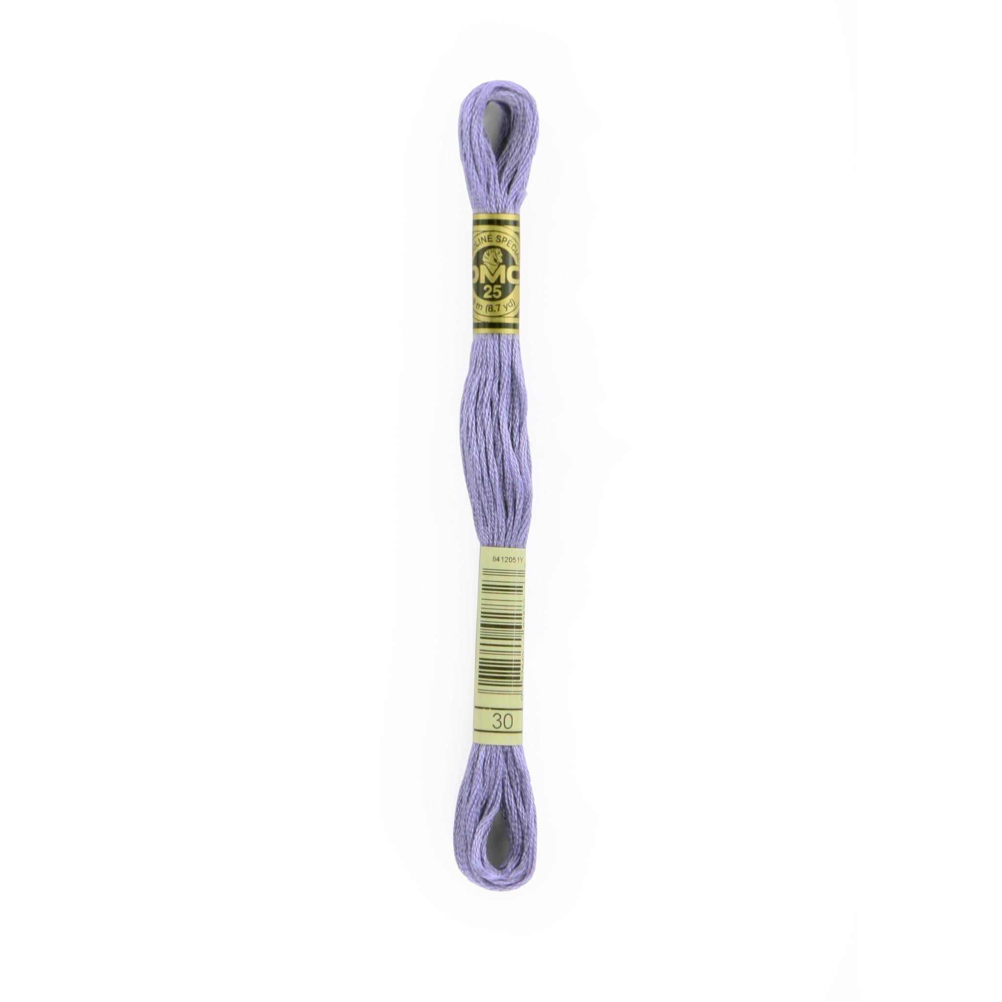 DMC Six-Strand Embroidery Floss - 30 Medium Light Blueberry