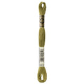 DMC Six-Strand Embroidery Floss - 3012 Medium Khaki Green