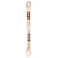 DMC Six-Strand Embroidery Floss - 3033 Very Light Mocha Brown