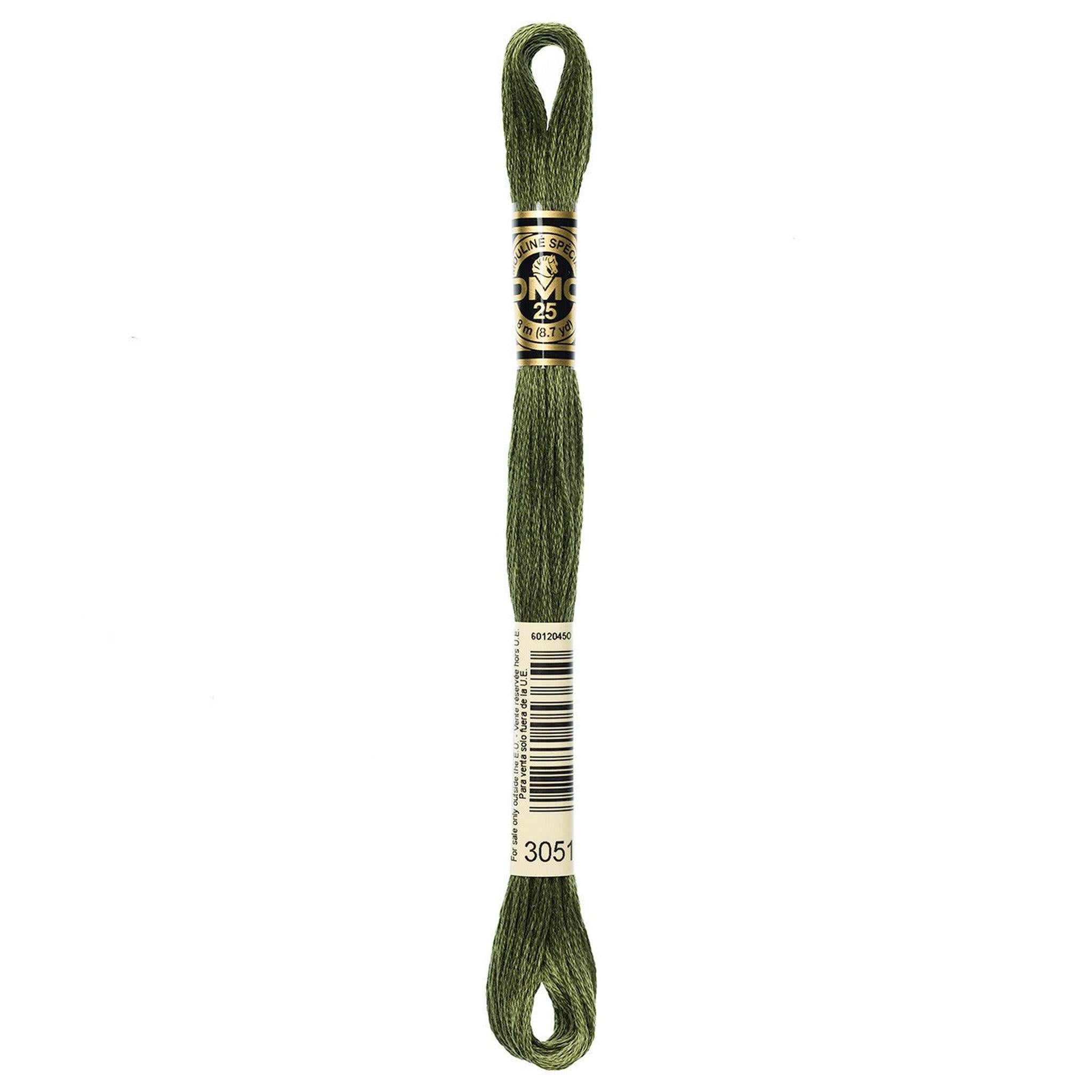 DMC Six-Strand Embroidery Floss - 3051 Dark Green Gray