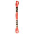 DMC Six-Strand Embroidery Floss - 3341 Apricot