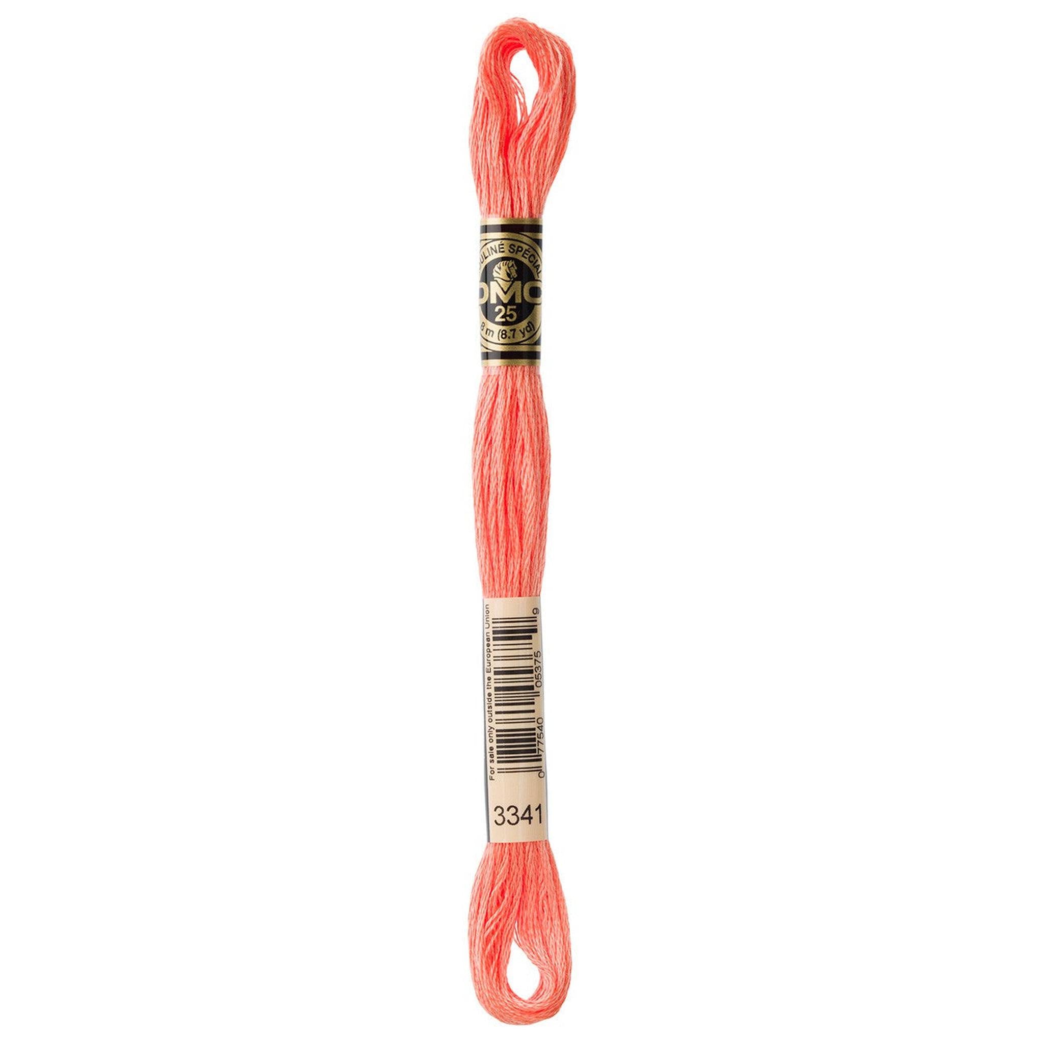 DMC Six-Strand Embroidery Floss - 3341 Apricot