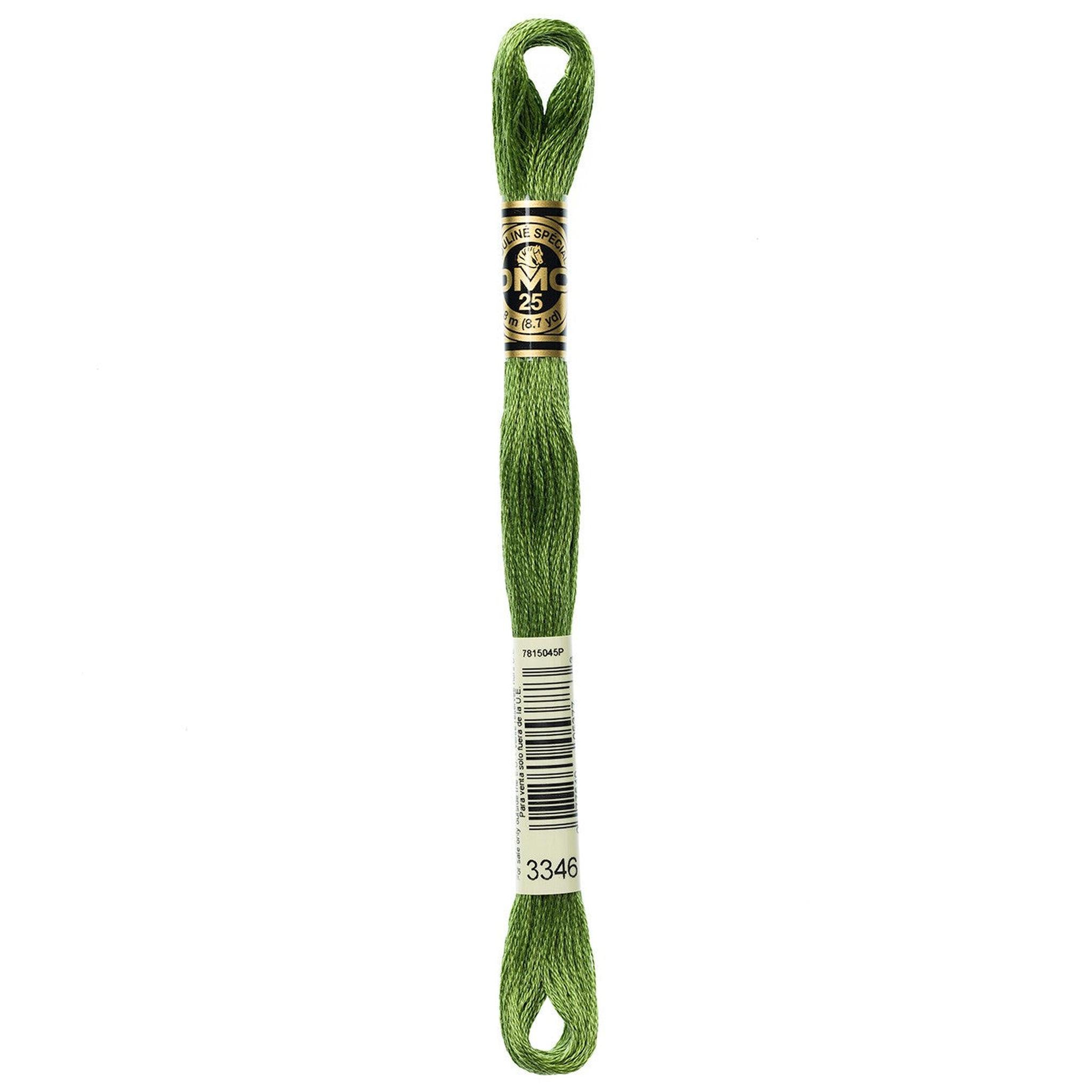 DMC Six-Strand Embroidery Floss - 3346 Hunter Green