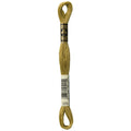 DMC Six-Strand Embroidery Floss - 370 Medium Mustard