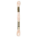 DMC Six-Strand Embroidery Floss - 3770 Very Light Tawny