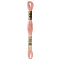 DMC Six-Strand Embroidery Floss - 3779 Very Light Terra Cotta