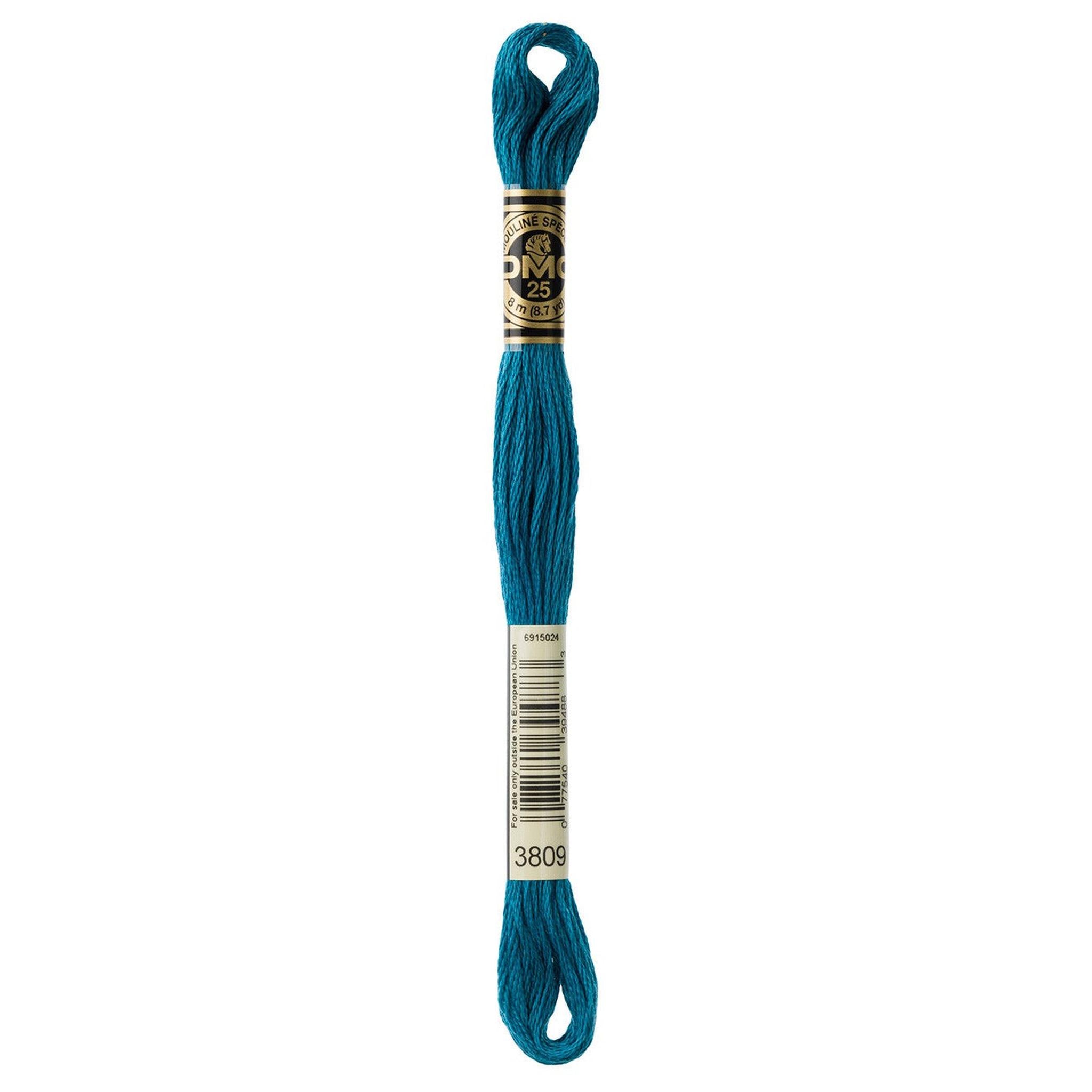 DMC Six-Strand Embroidery Floss - 3809 Very Dark Turquoise