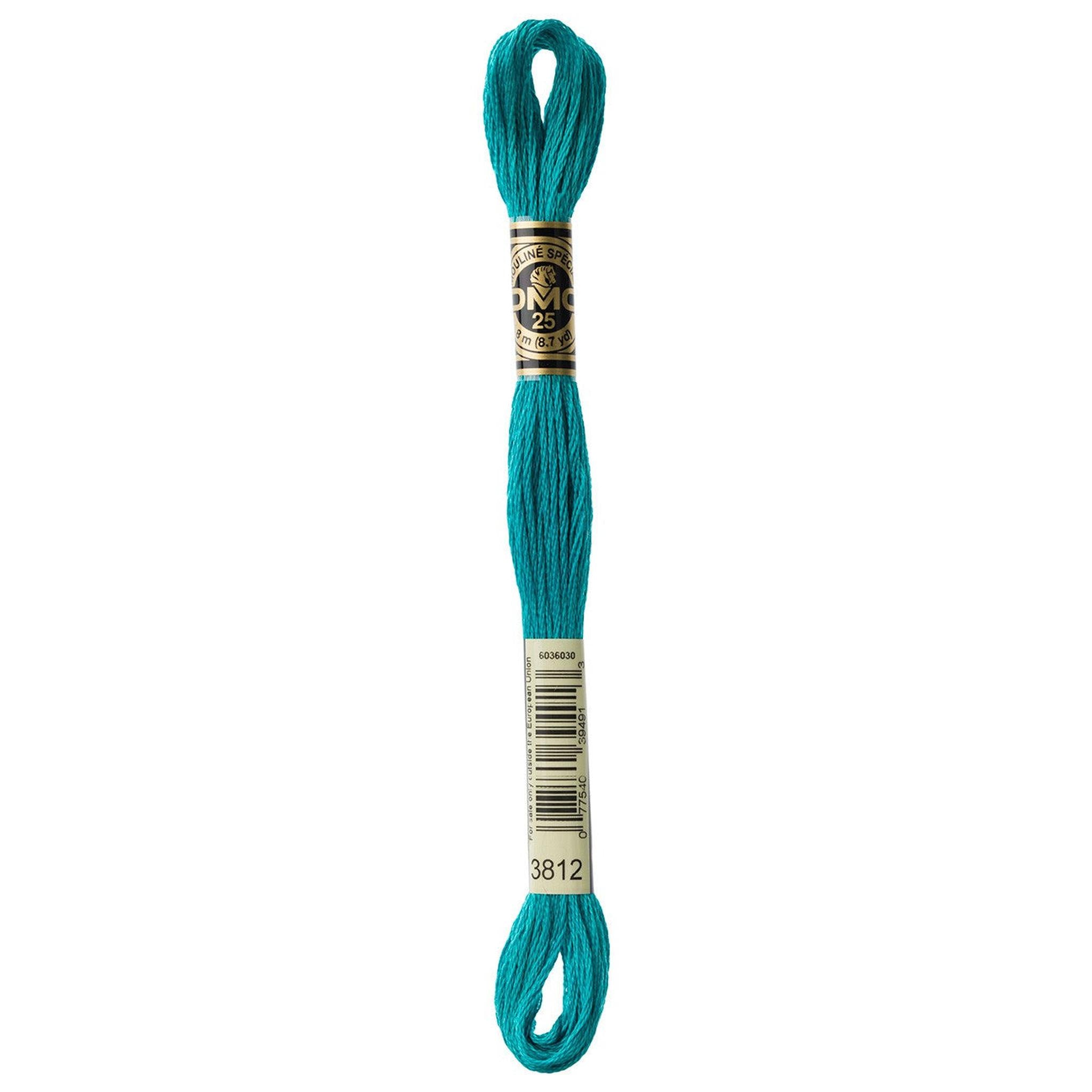 DMC Six-Strand Embroidery Floss - 3812 Very Dark Seagreen