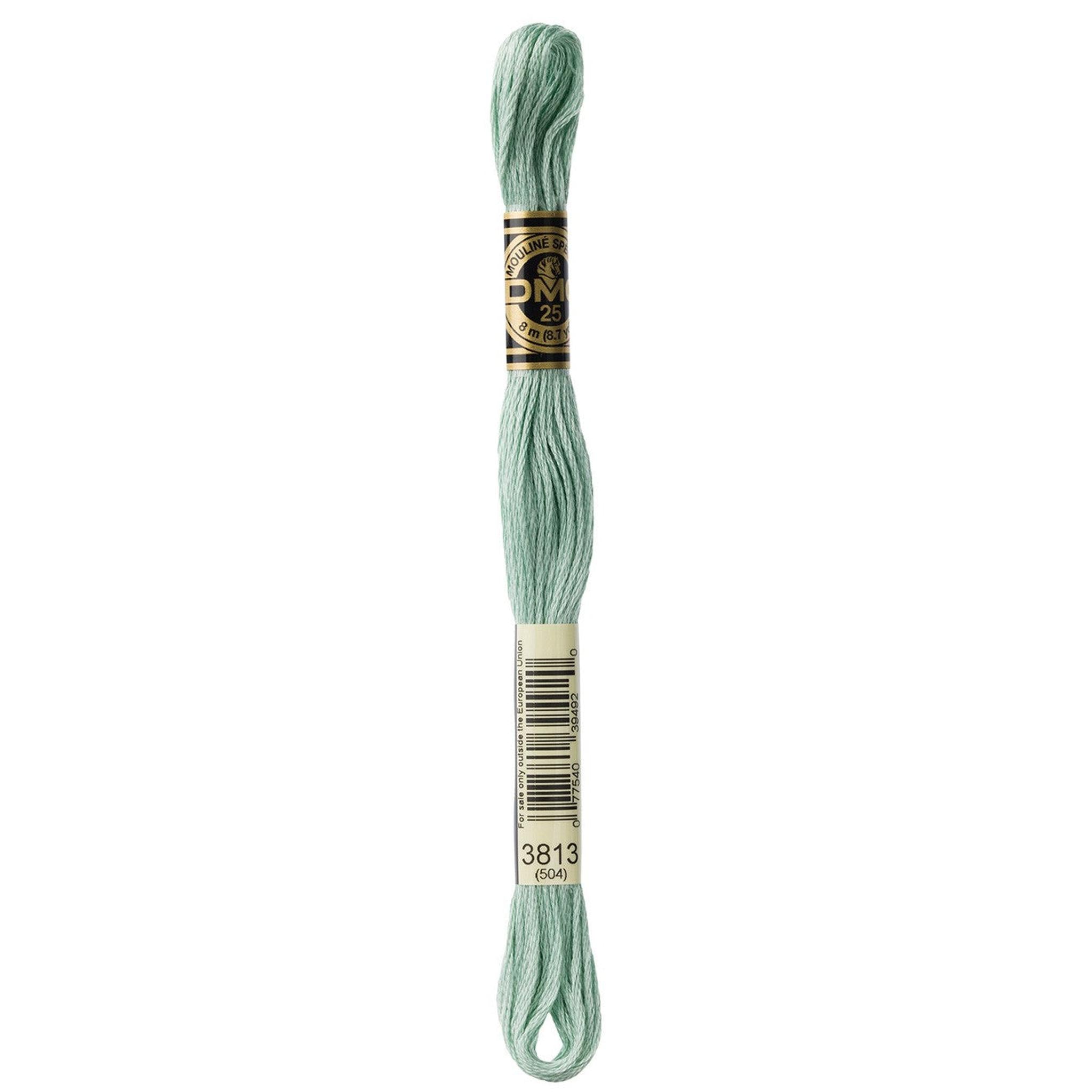 DMC Six-Strand Embroidery Floss - 3813 Light Blue Green