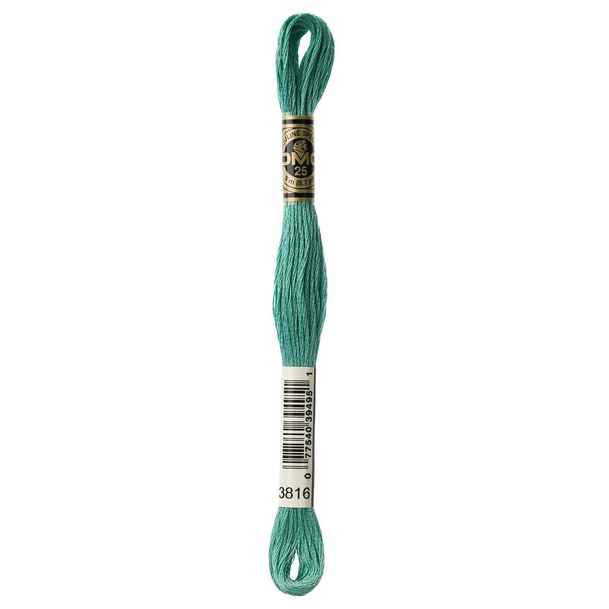 DMC Six-Strand Embroidery Floss - 3816 Celadon Green