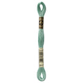 DMC Six-Strand Embroidery Floss - 3817 Light Celadon Green