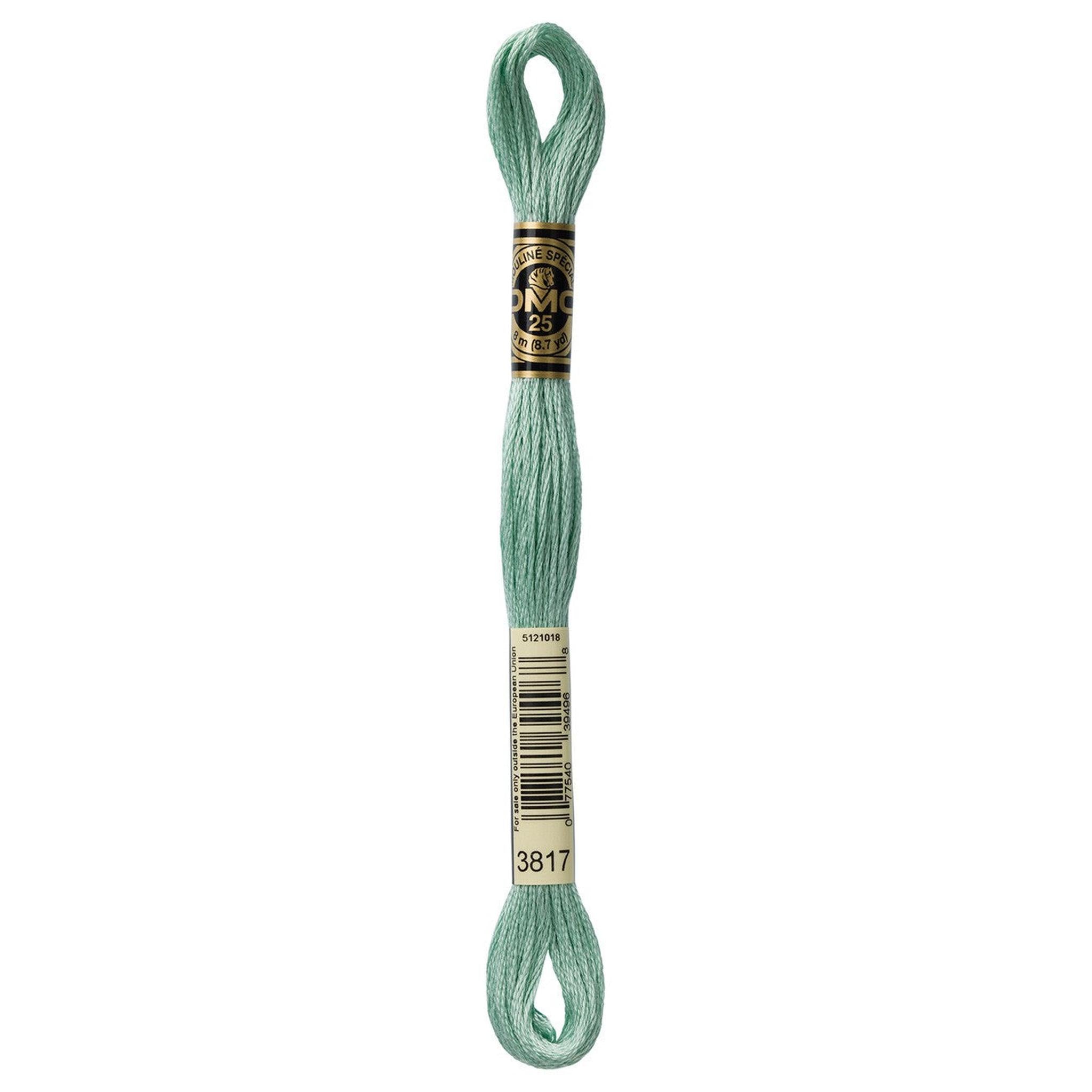 DMC Six-Strand Embroidery Floss - 3817 Light Celadon Green