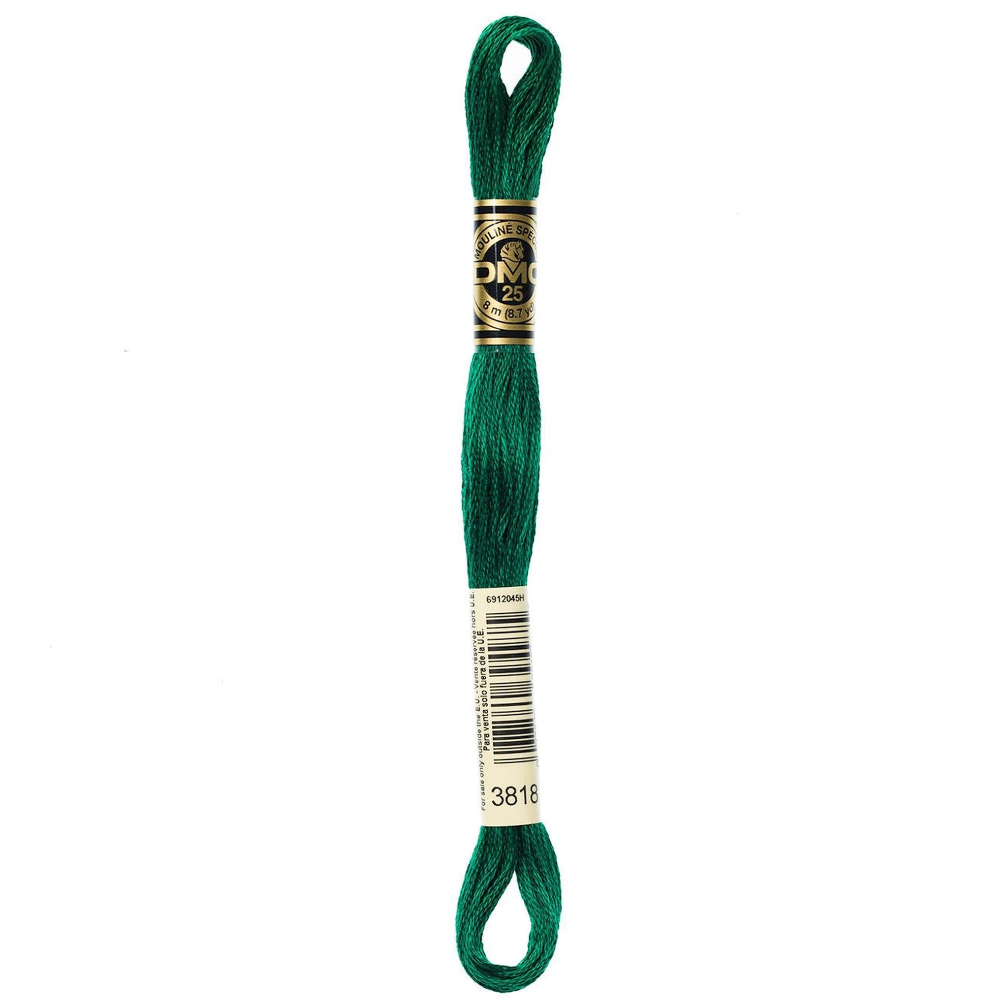 DMC Six-Strand Embroidery Floss - 3818 Ultra Very Dark Emerald Green