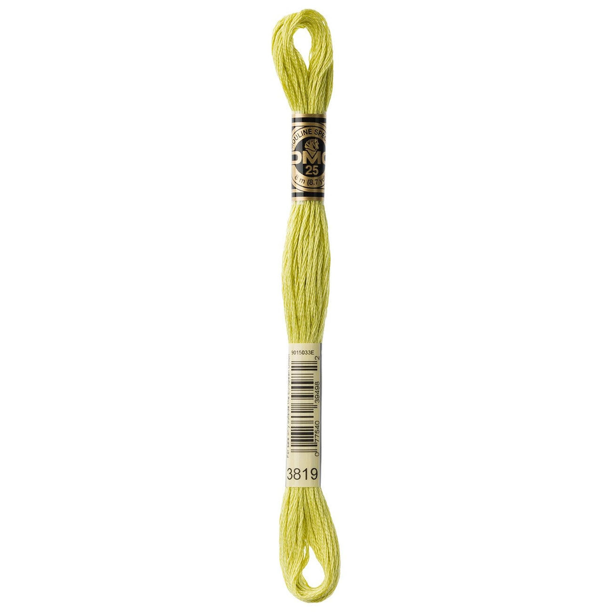 DMC Six-Strand Embroidery Floss - 3819 Light Moss Green