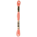 DMC Six-Strand Embroidery Floss - 3824 Light Apricot