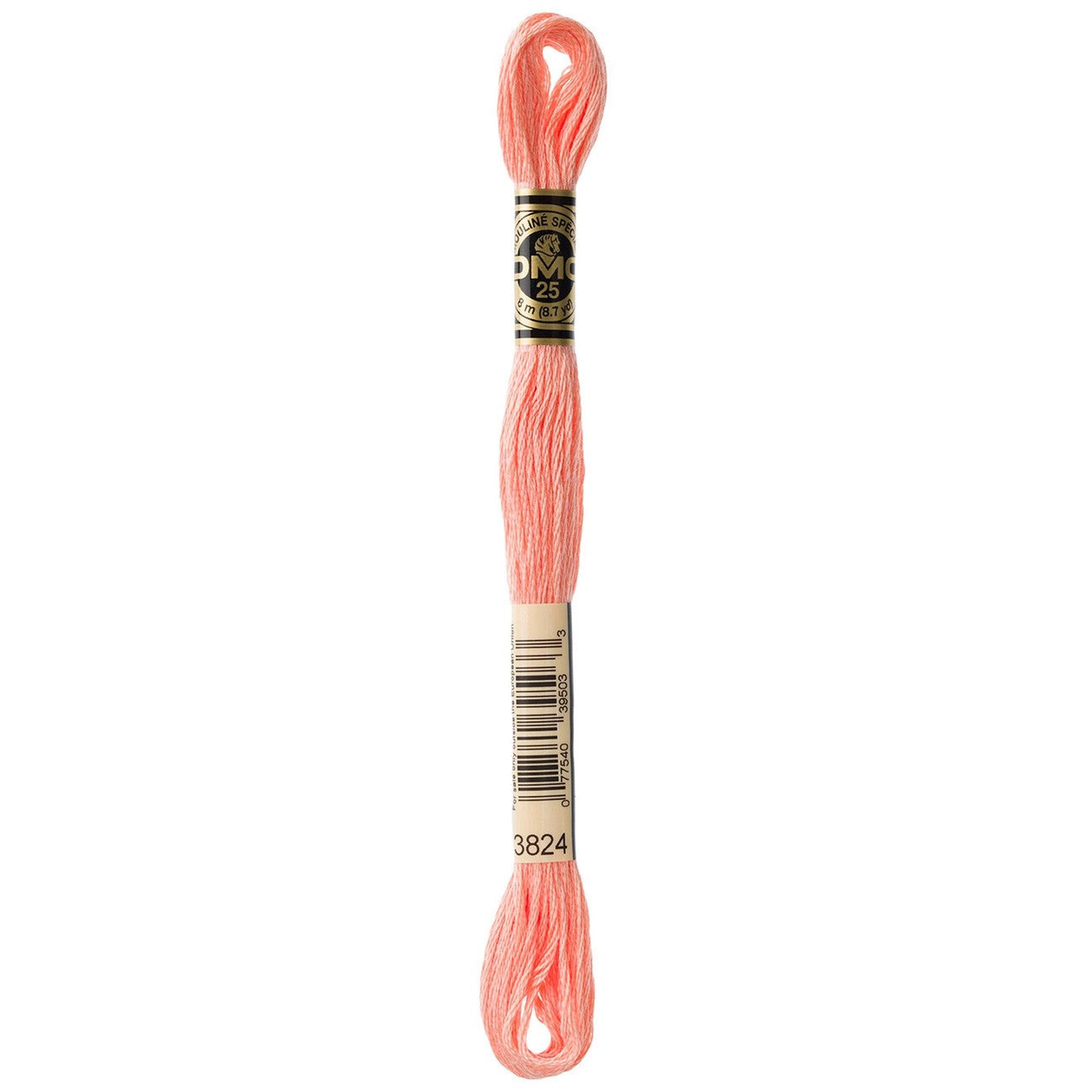 DMC Six-Strand Embroidery Floss - 3824 Light Apricot