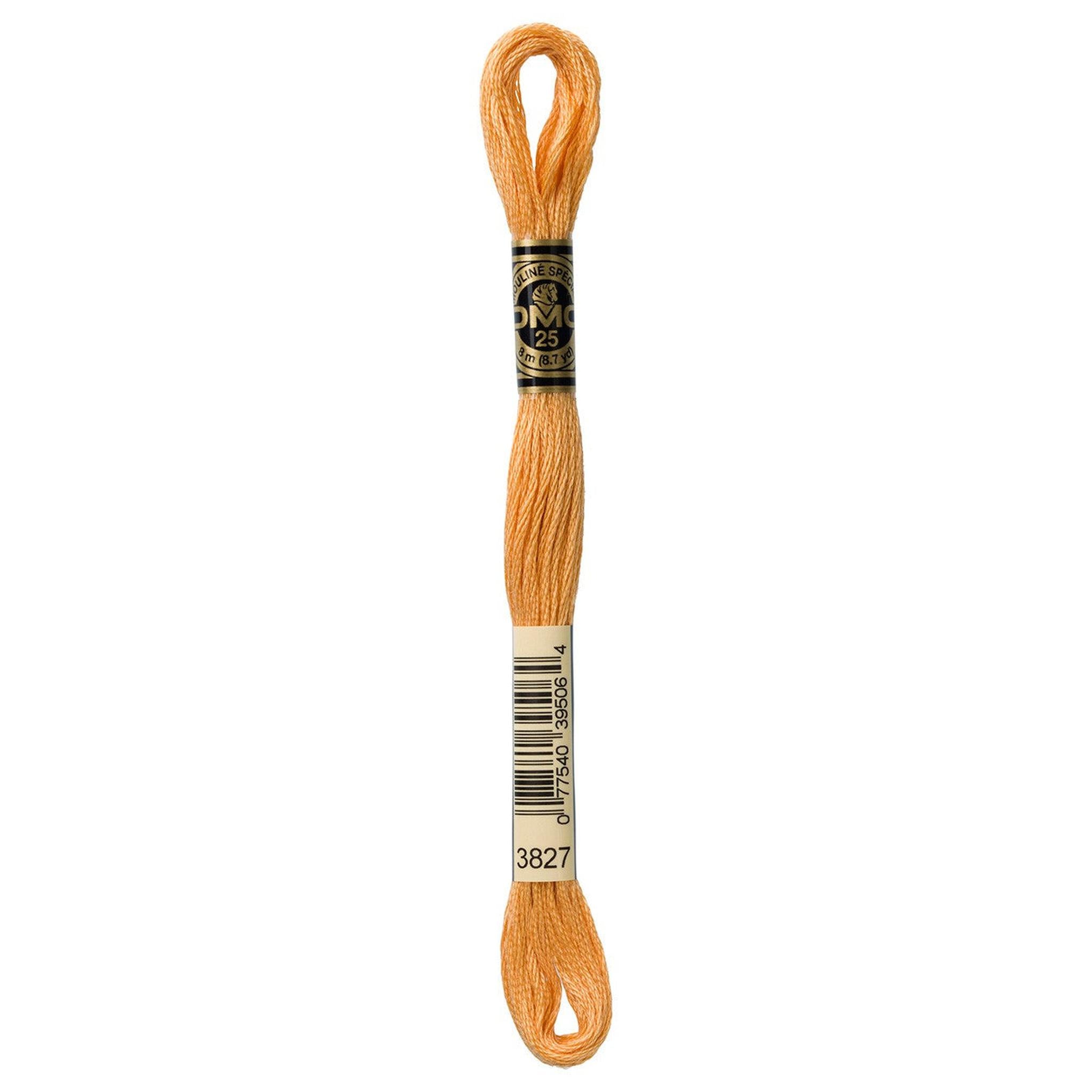 DMC Six-Strand Embroidery Floss - 3827 Pale Golden Brown