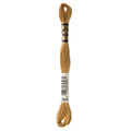 DMC Six-Strand Embroidery Floss - 3828 Hazelnut Brown