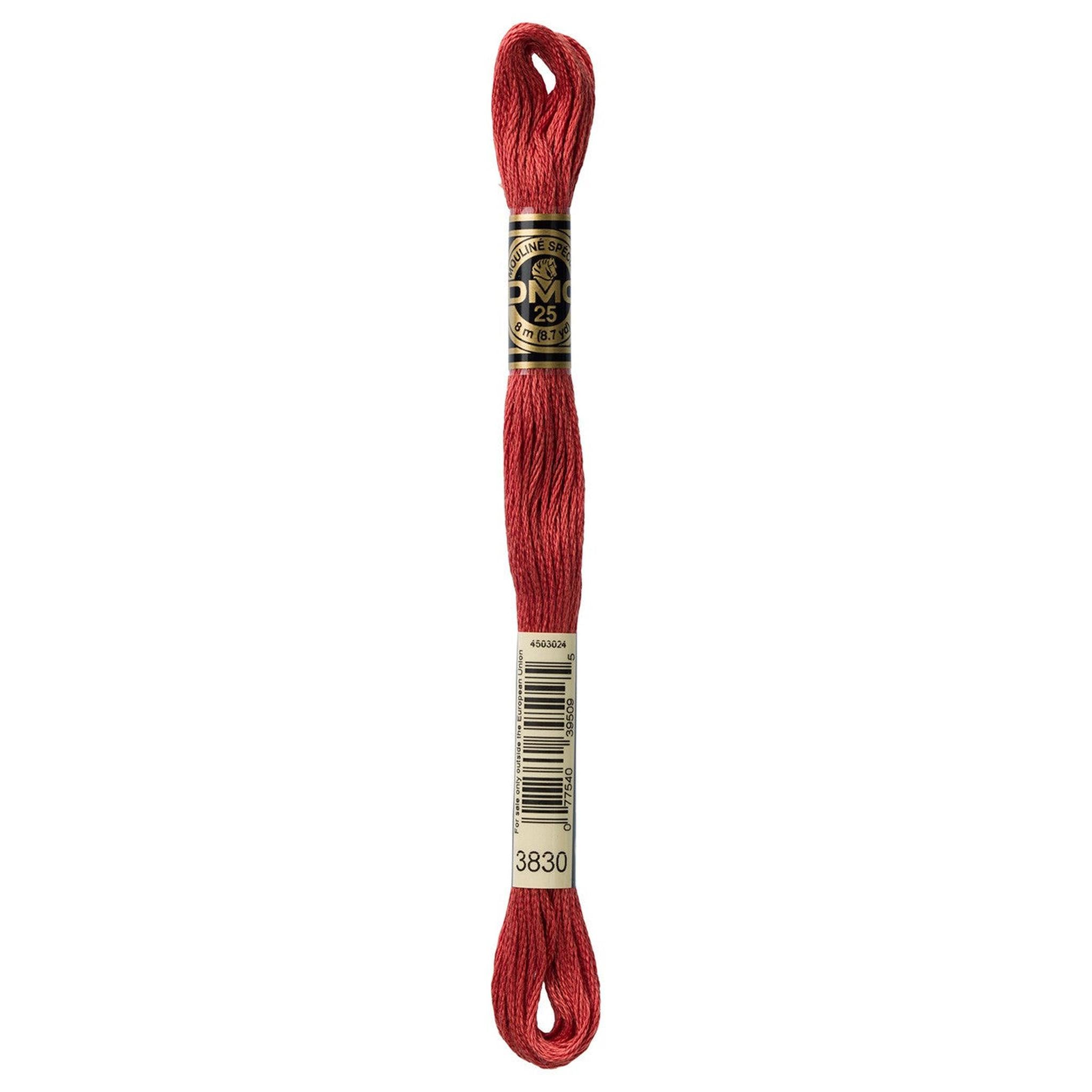 DMC Six-Strand Embroidery Floss - 3830 Terra Cotta