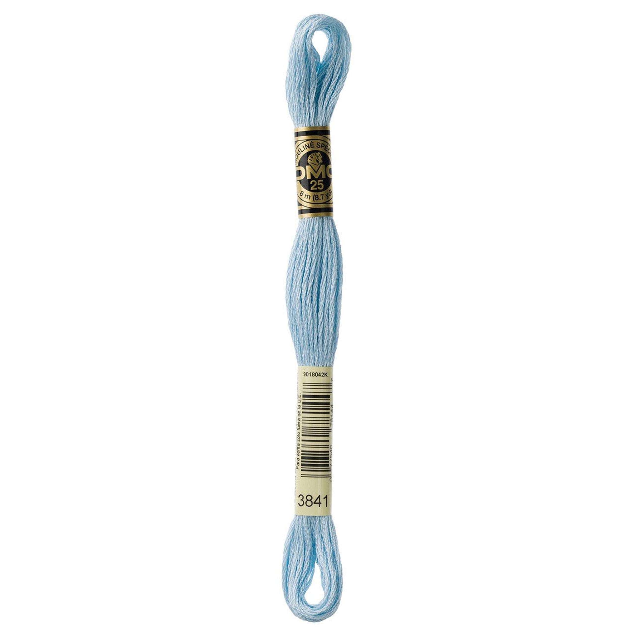 DMC Six-Strand Embroidery Floss - 3841 Pale Baby Blue