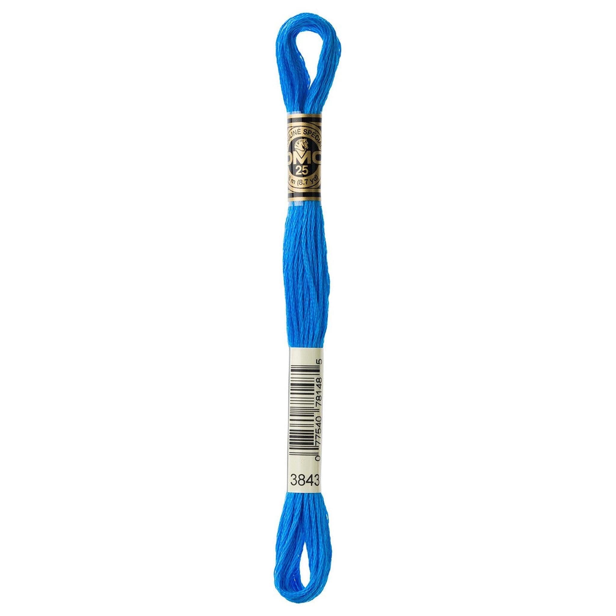 DMC Six-Strand Embroidery Floss - 3843 Electric Blue