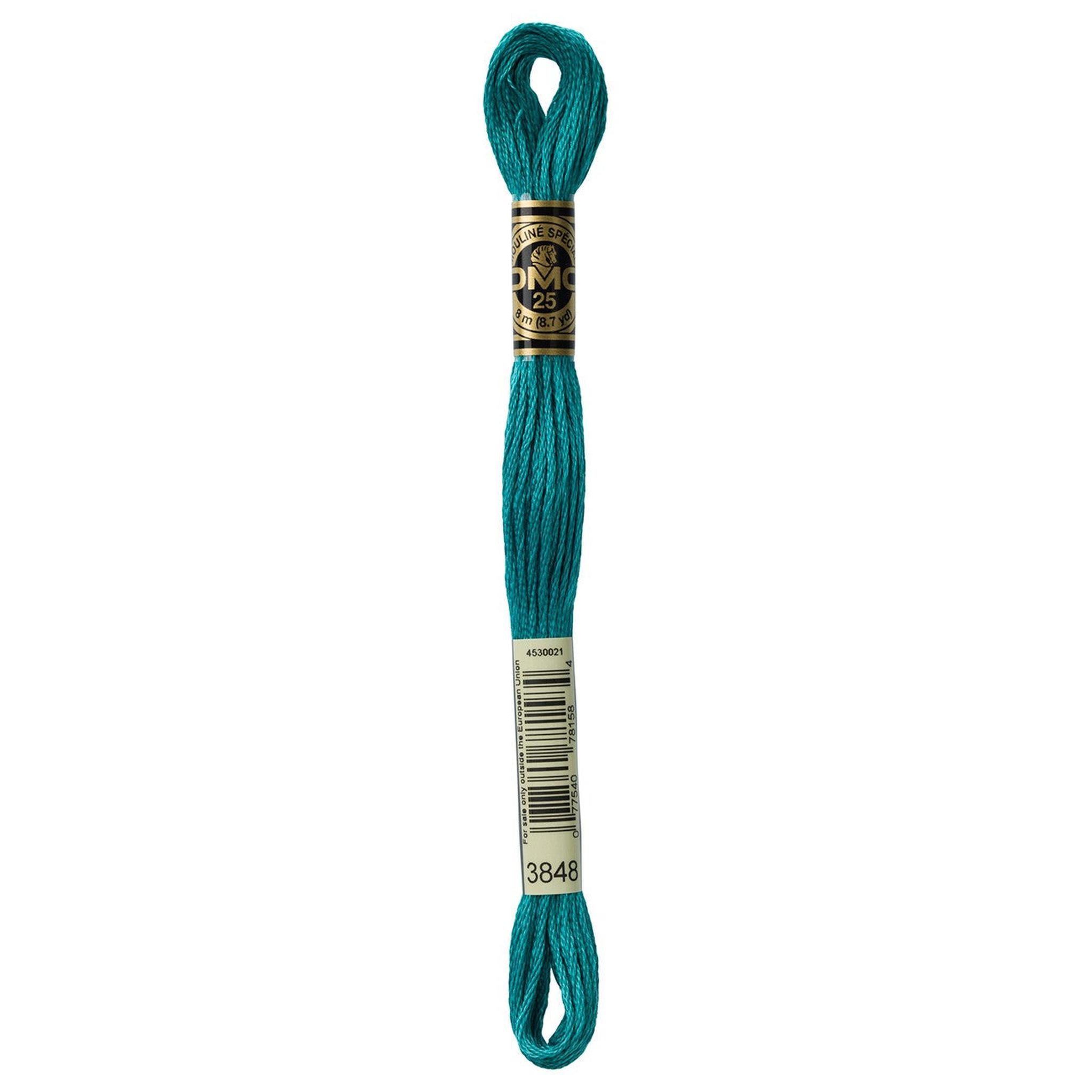 DMC Six-Strand Embroidery Floss - 3848 Medium Teal Green