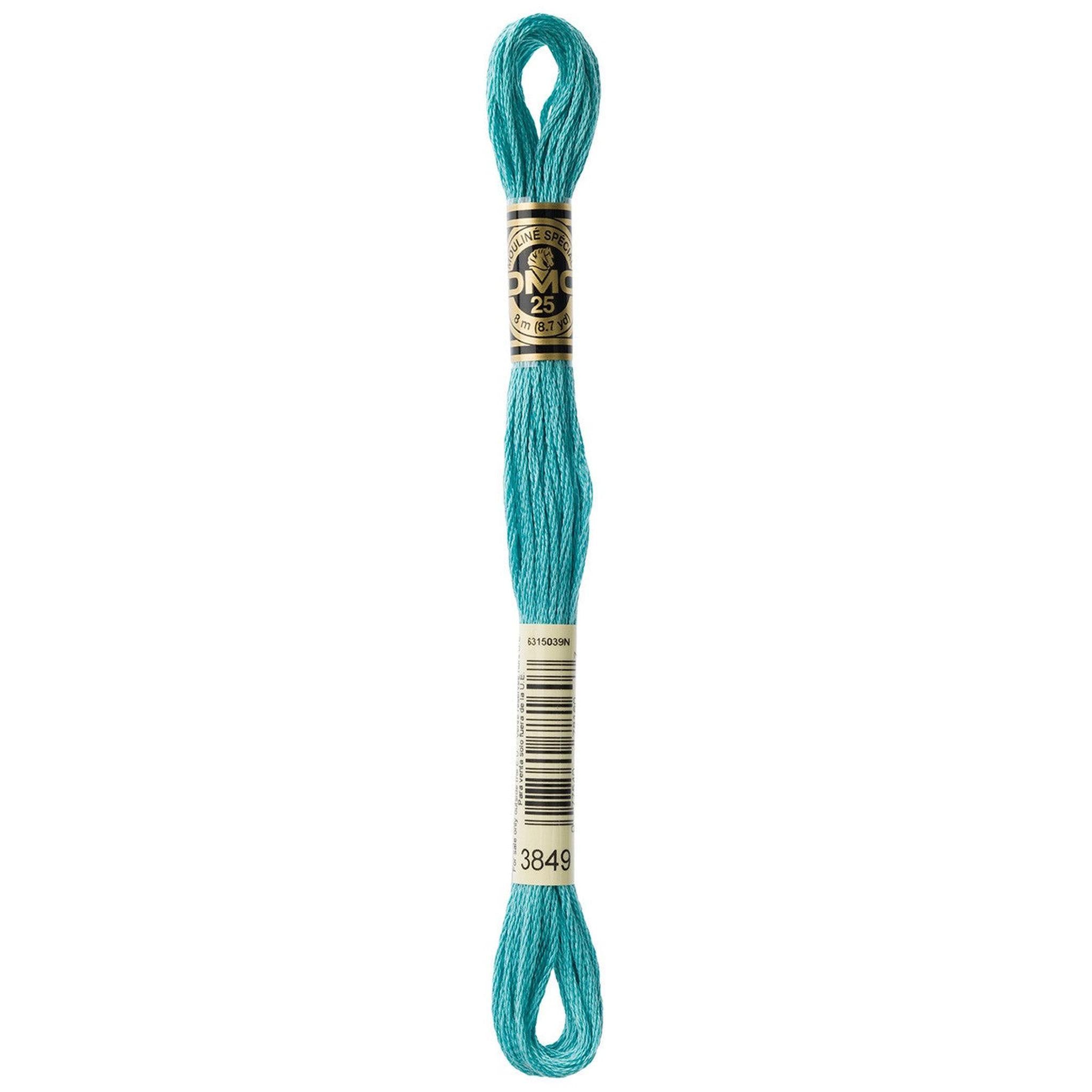DMC Six-Strand Embroidery Floss - 3849 Light Teal Green