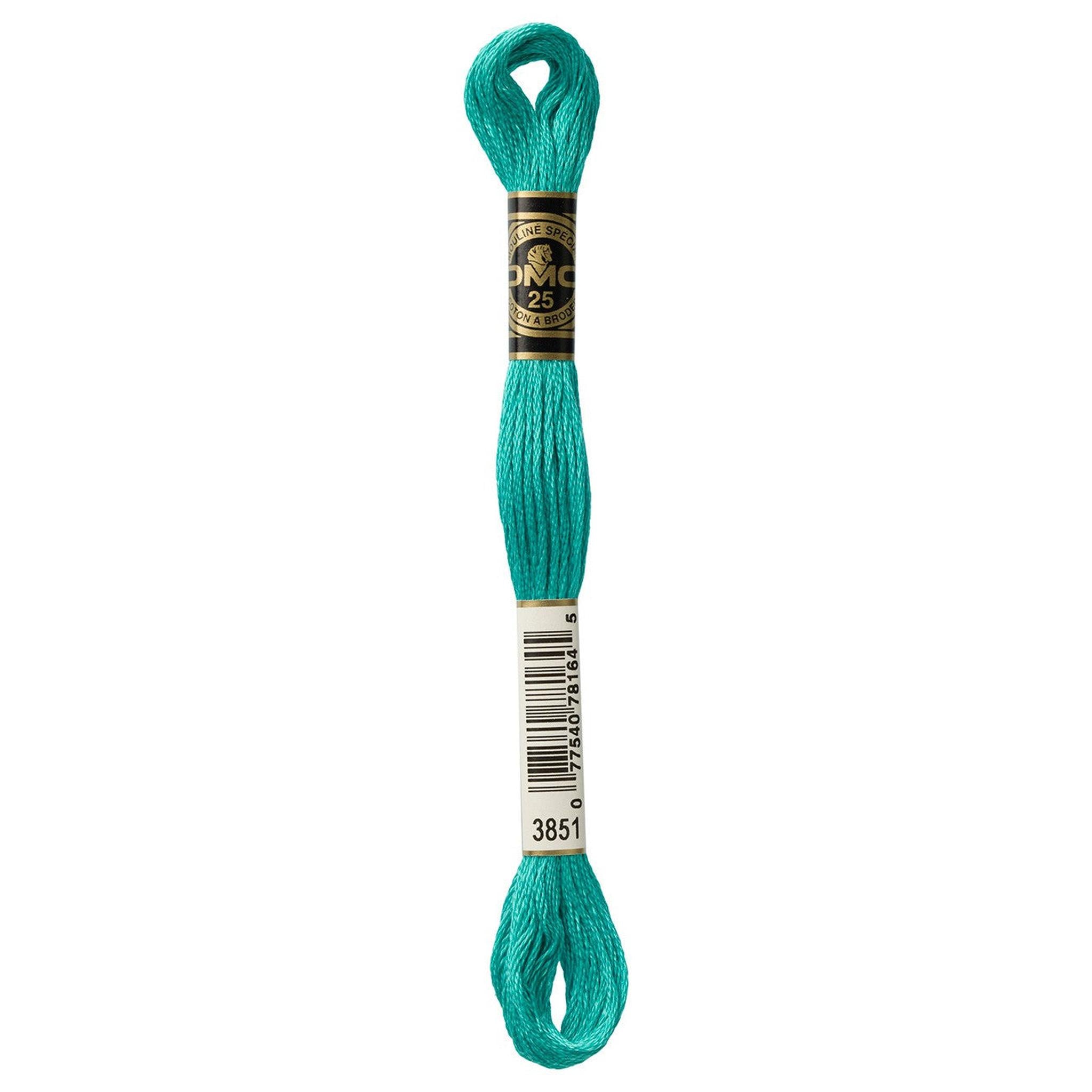 DMC Six-Strand Embroidery Floss - 3851 Light Bright Green