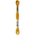 DMC Six-Strand Embroidery Floss - 3852 Very Dark Straw