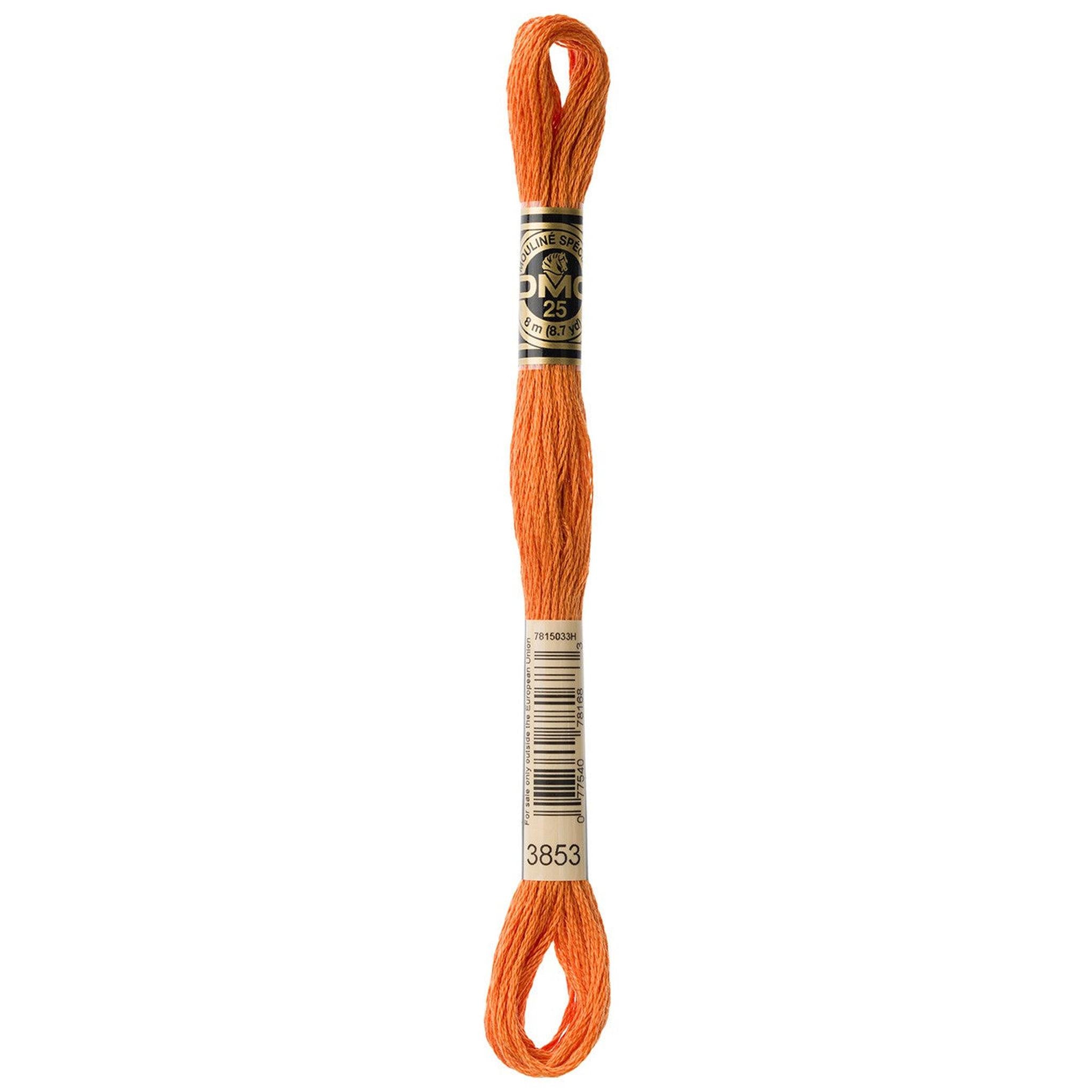 DMC Six-Strand Embroidery Floss - 3853 Dark Autumn Gold