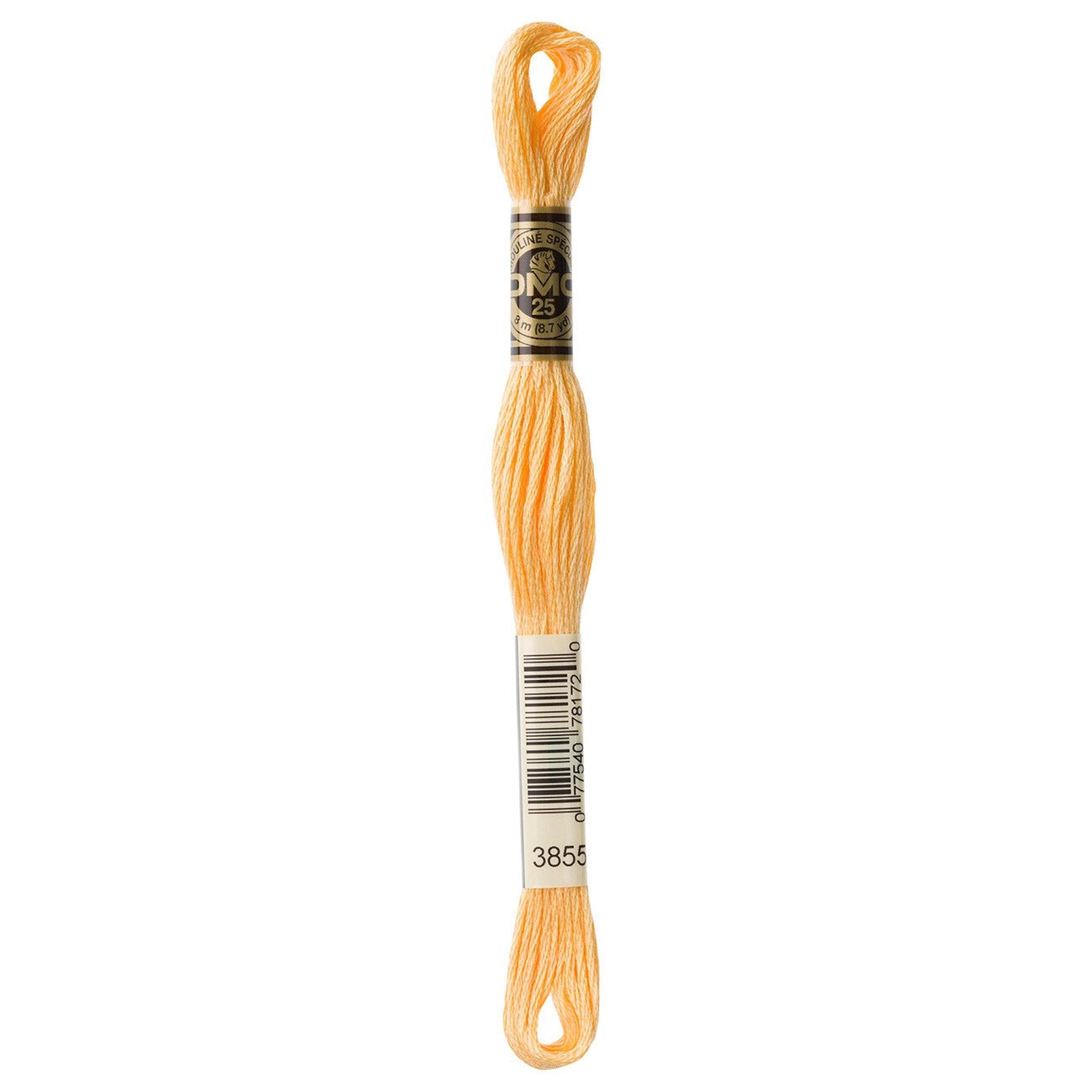 DMC Six-Strand Embroidery Floss - 3855 Light Autumn Gold