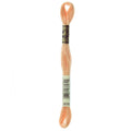 DMC Six-Strand Embroidery Floss - 3856 Ultra Very Light Mahogany