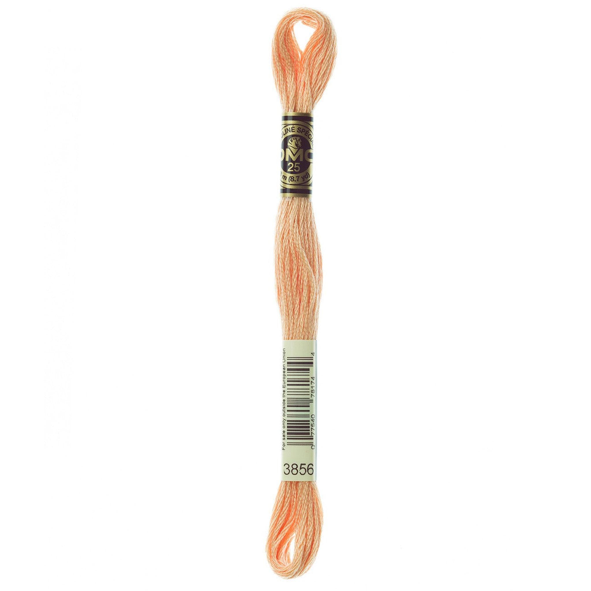 DMC Six-Strand Embroidery Floss - 3856 Ultra Very Light Mahogany