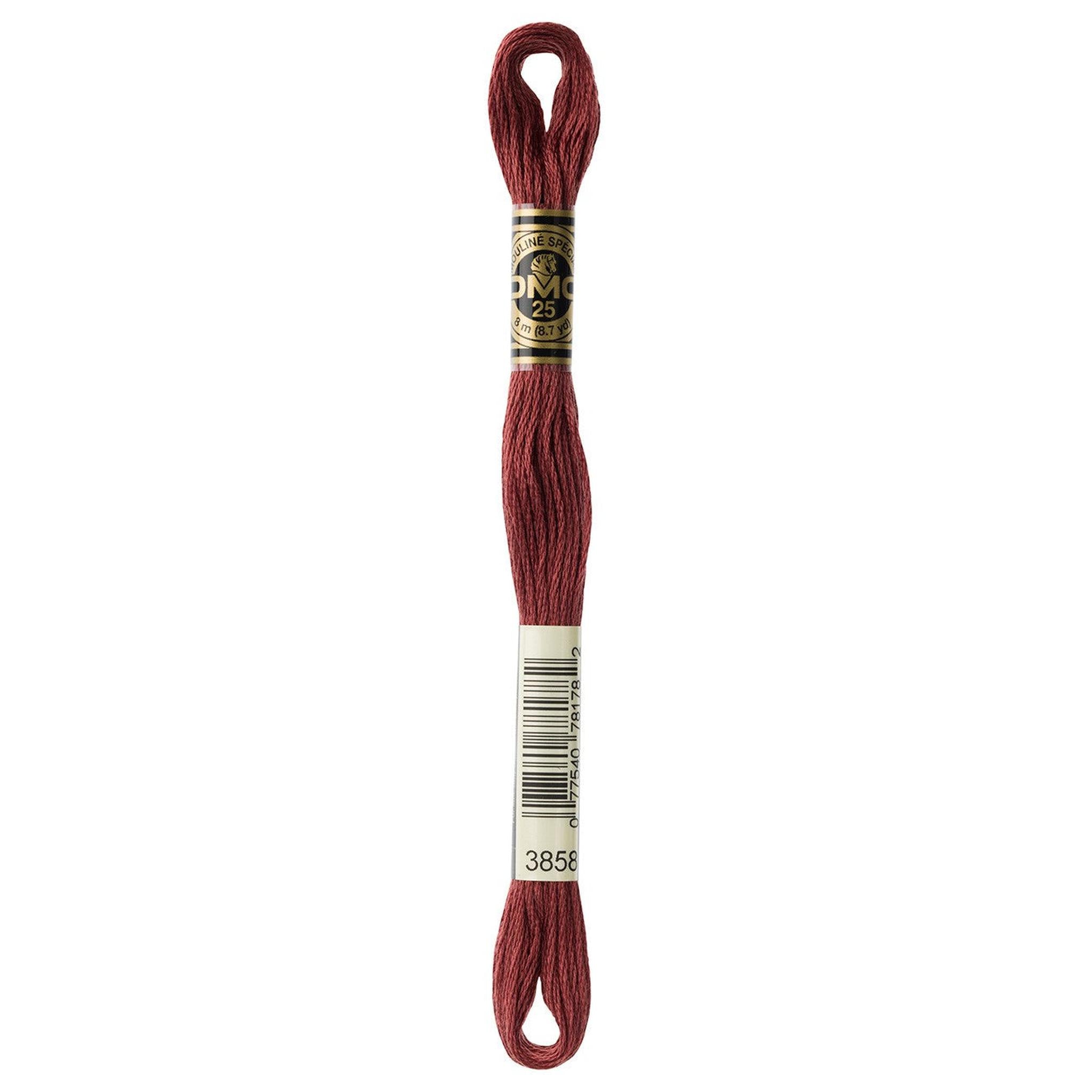 DMC Six-Strand Embroidery Floss - 3858 Medium Rosewood