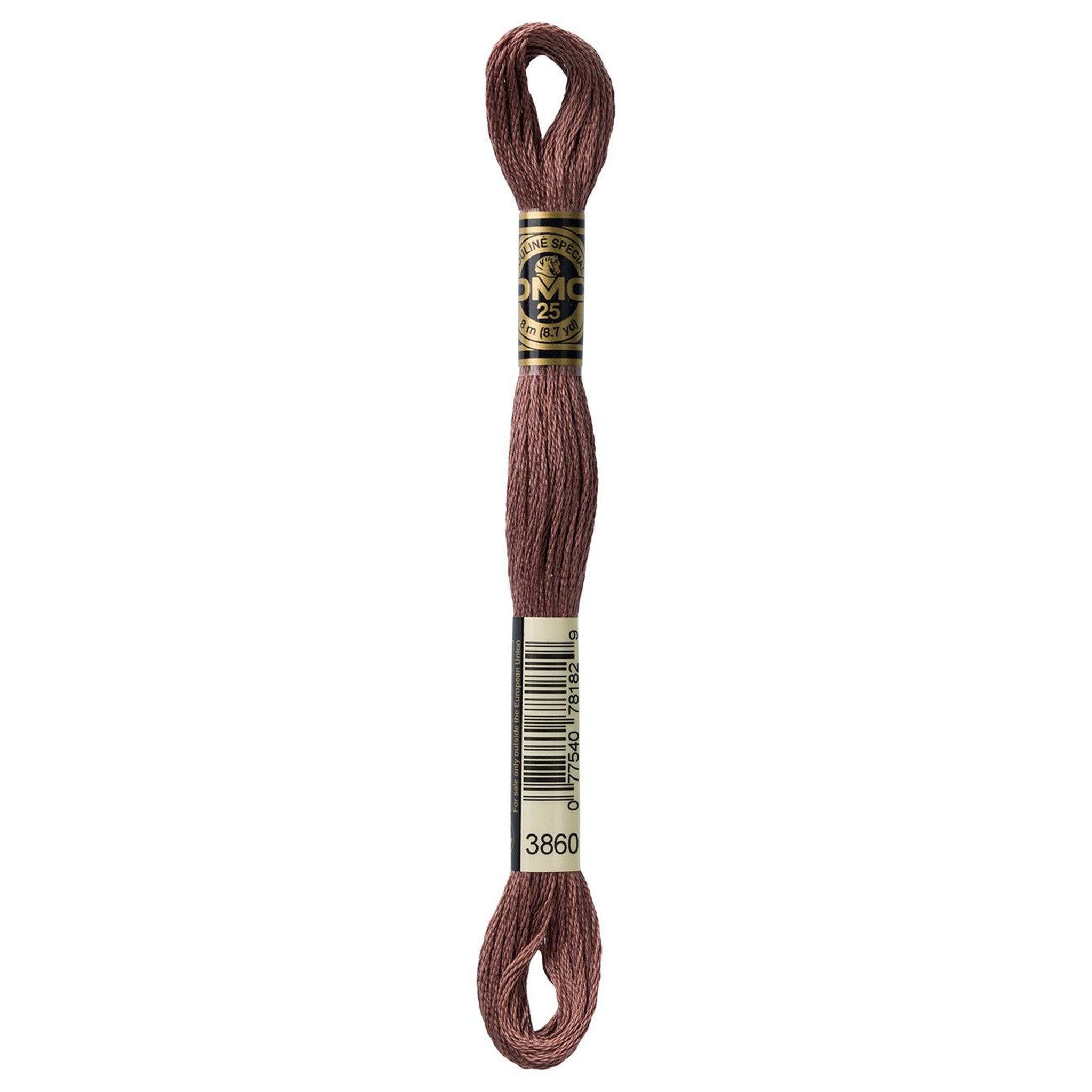 DMC Six-Strand Embroidery Floss - 3860 Cocoa