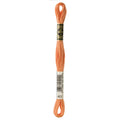 DMC Six-Strand Embroidery Floss - 402 Very Light Mahogany