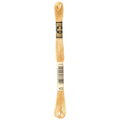 DMC Six-Strand Embroidery Floss - 422 Light Hazelnut Brown