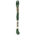 DMC Six-Strand Embroidery Floss - 520 Dark Fern Green